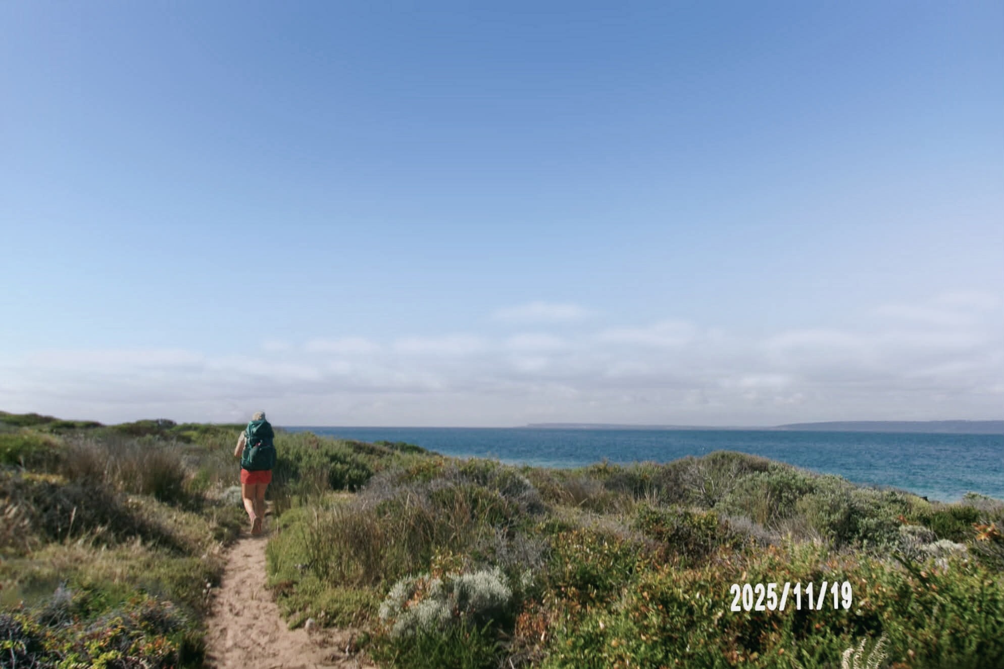 Wild South Coast Way