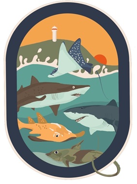 OCS 20th anniversary logo